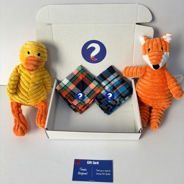 Spark Joy Box