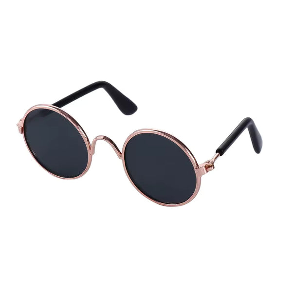 BarkRay Sunglasses