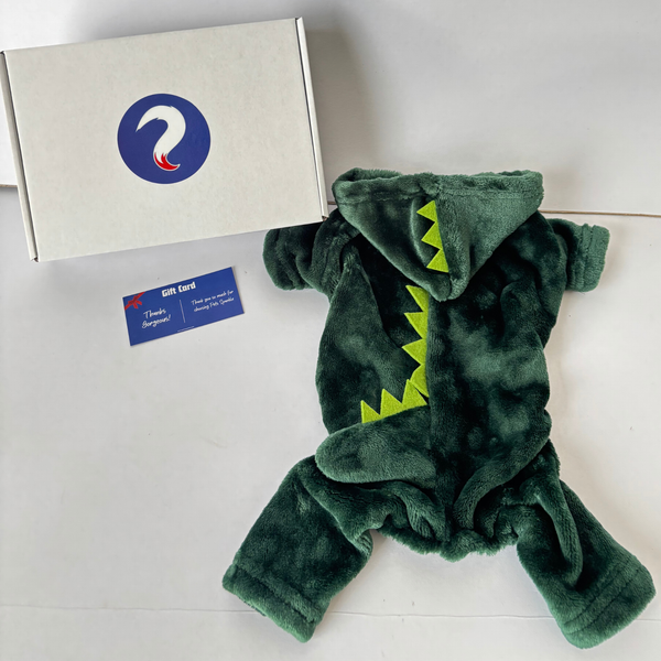 Rex Costume