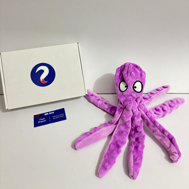 Mr. Octopus