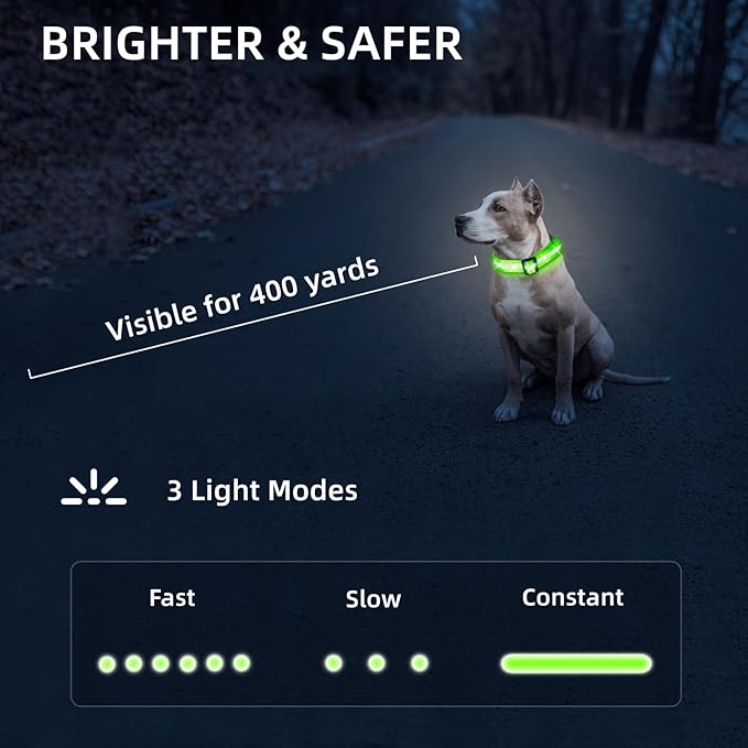 Glow Pup Collar