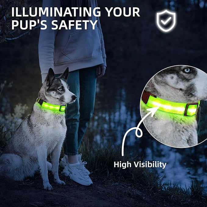 Glow Pup Collar
