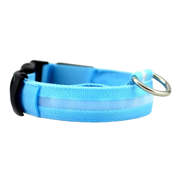 Glow Pup Collar