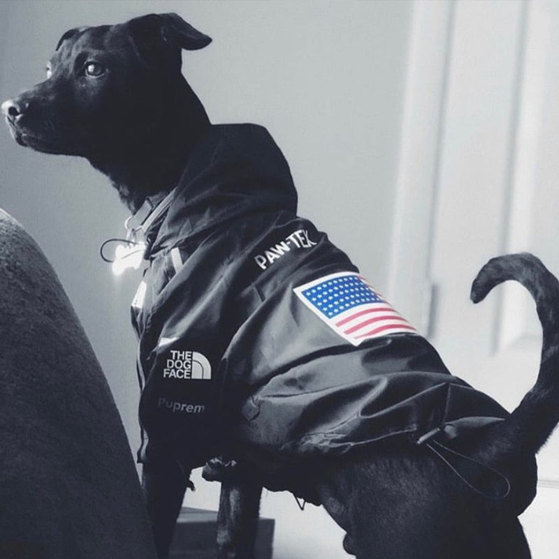 Dog Face Jacket