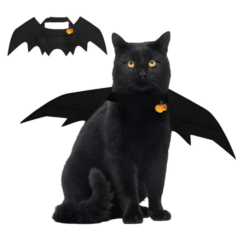 Witch Wings
