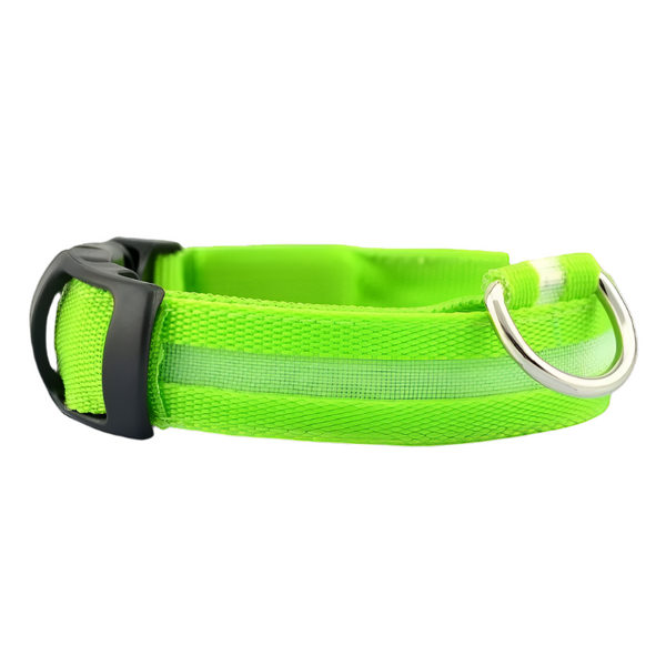 Glow Pup Collar