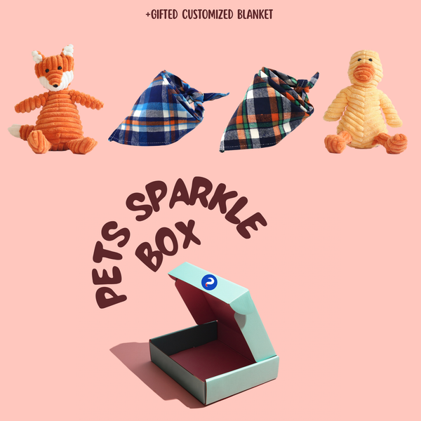Spark Joy Box