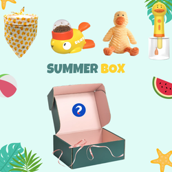 Spark Duck Box